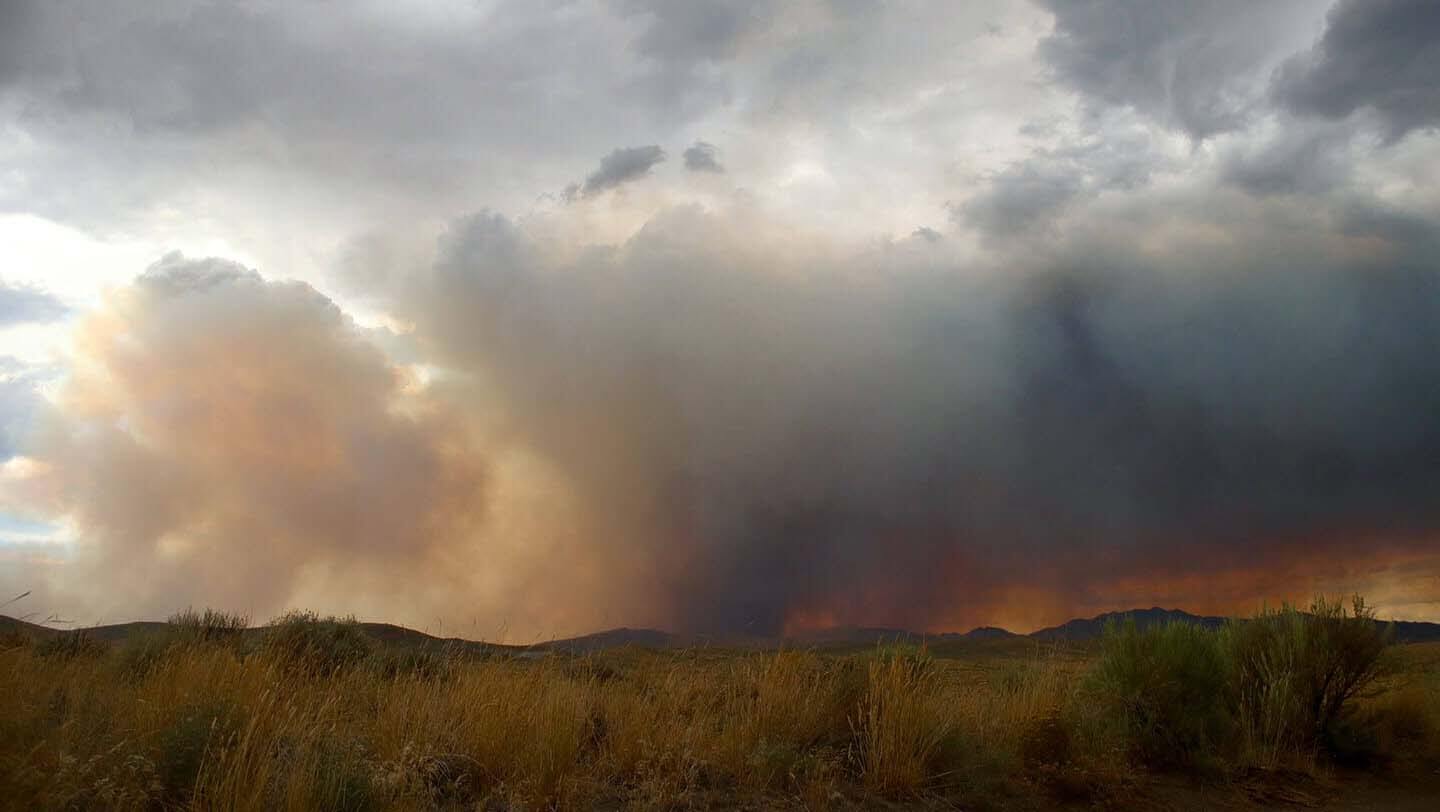 Bushfire in the hills