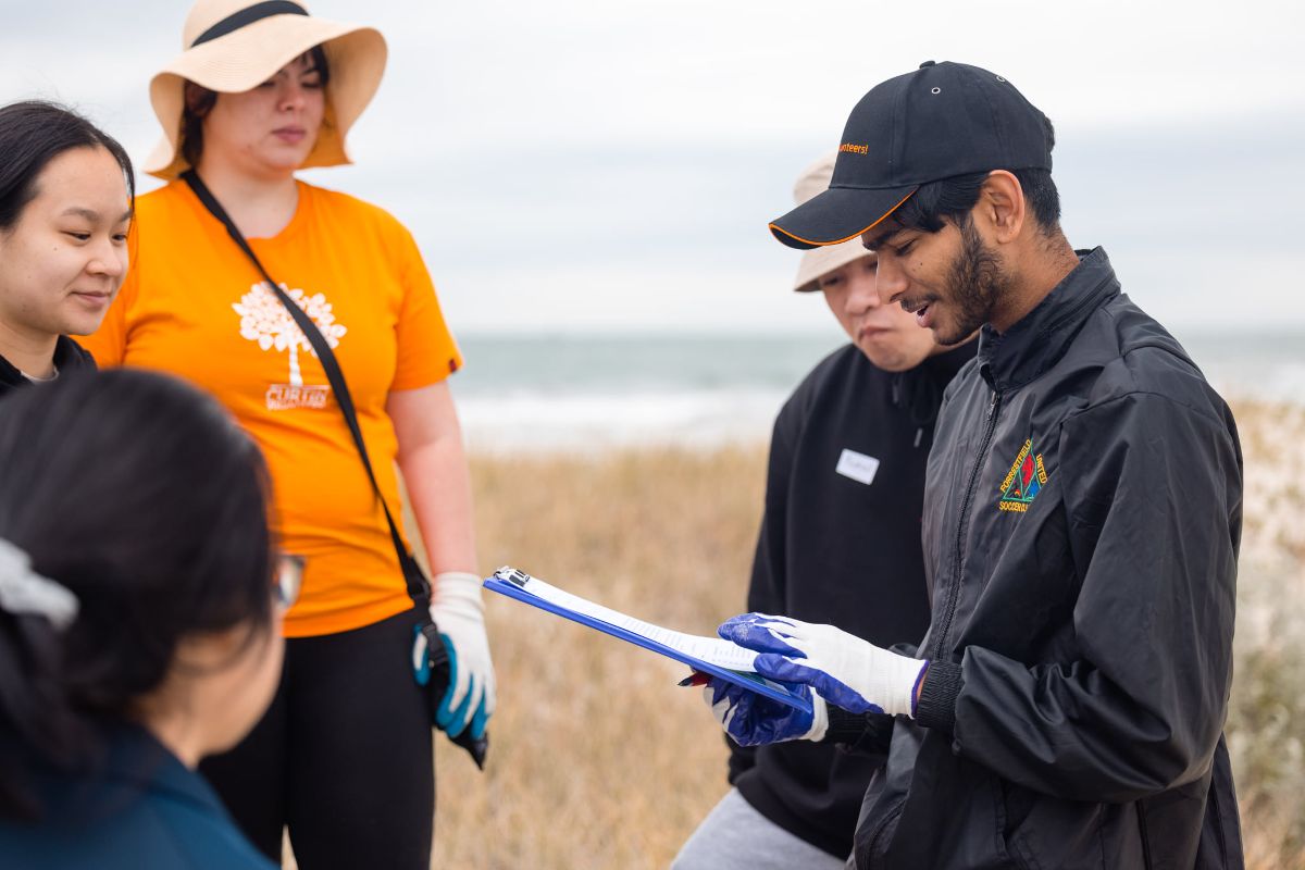 inter-beach survey